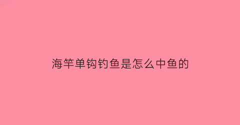 海竿单钩钓鱼是怎么中鱼的(海竿怎么样钓单钩)