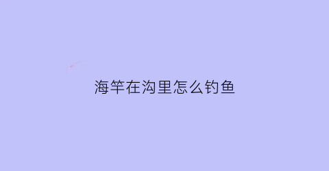 海竿在沟里怎么钓鱼(海竿在沟里怎么钓鱼的)