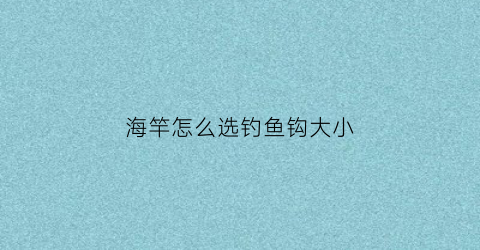 海竿怎么选钓鱼钩大小(海竿钓鱼用多大的钩子)