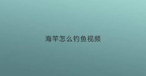 海竿怎么钓鱼视频