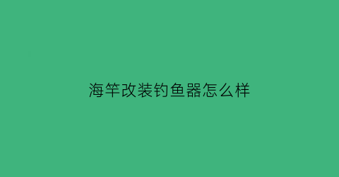 海竿改装钓鱼器怎么样