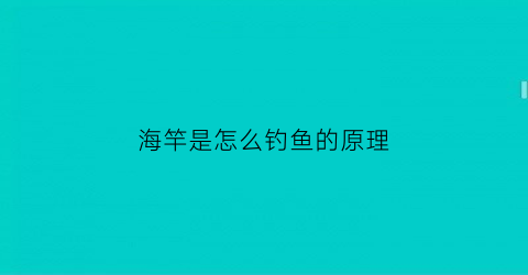 海竿是怎么钓鱼的原理