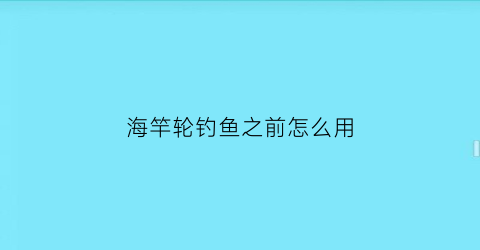 海竿轮钓鱼之前怎么用(海竿轮怎么上线视频)