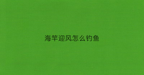 海竿迎风怎么钓鱼(海钓背风还是迎风钓)