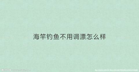 海竿钓鱼不用调漂怎么样(海竿不用浮漂吗)
