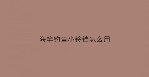 海竿钓鱼小铃铛怎么用(海竿钓鱼铃铛响视频)
