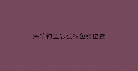 海竿钓鱼怎么找鱼钩位置(海竿怎么钓海鱼)