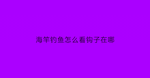 “海竿钓鱼怎么看钩子在哪(海竿钓鱼怎么知道鱼上钩)