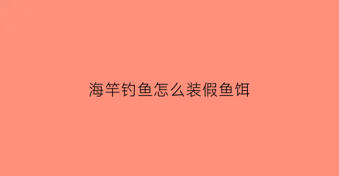 海竿钓鱼怎么装假鱼饵(海竿用假饵钓鱼技巧)