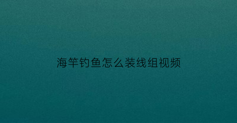 “海竿钓鱼怎么装线组视频(海竿如何装线视频)