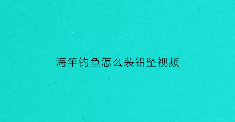 海竿钓鱼怎么装铅坠视频(海竿的铅坠安装图)