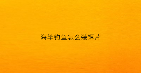 海竿钓鱼怎么装饵片(海竿鱼饵安装方法图片)