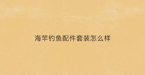 海竿钓鱼配件套装怎么样