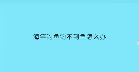 海竿钓鱼钓不到鱼怎么办(海杆怎么钓不到鱼)