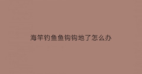 海竿钓鱼鱼钩钩地了怎么办(海竿的钩)