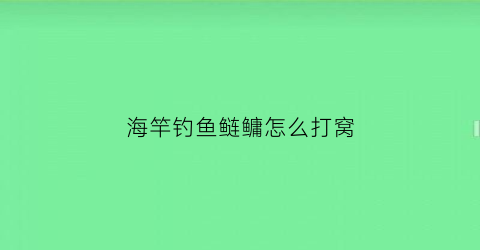 海竿钓鱼鲢鳙怎么打窝(海竿钓鱼鲢鳙怎么打窝最好)