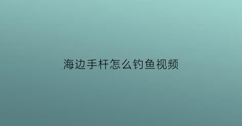 海边手杆怎么钓鱼视频