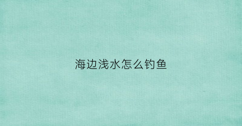 海边浅水怎么钓鱼(浅海钓鱼技巧)