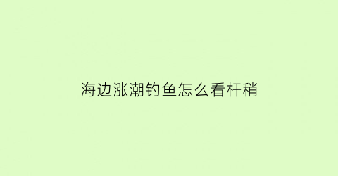 海边涨潮钓鱼怎么看杆稍(涨潮时怎么钓鱼)