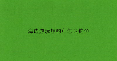 海边游玩想钓鱼怎么钓鱼