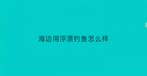 “海边用浮漂钓鱼怎么样(海边用浮漂钓鱼怎么样好钓吗)