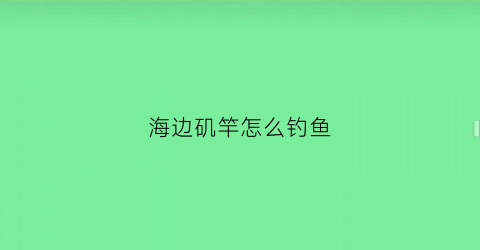 海边矶竿怎么钓鱼(海边矶钓技巧讲解视频教程)