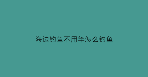 “海边钓鱼不用竿怎么钓鱼(海边钓鱼不用竿怎么钓鱼呢)