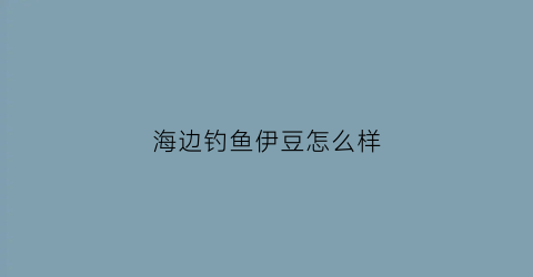 海边钓鱼伊豆怎么样(海边钓鱼伊豆怎么样)