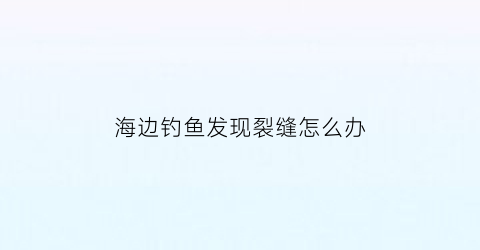 海边钓鱼发现裂缝怎么办(海边钓鱼2)