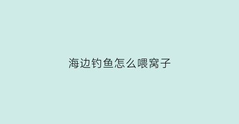 海边钓鱼怎么喂窝子