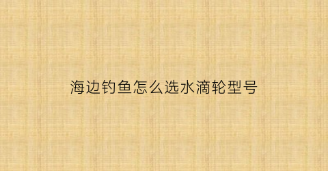 “海边钓鱼怎么选水滴轮型号(海钓路亚水滴轮推荐)