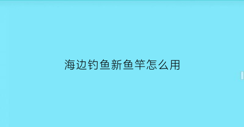 海边钓鱼新鱼竿怎么用(海边钓鱼新鱼竿怎么用的)