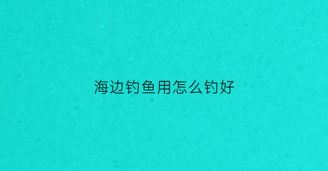 海边钓鱼用怎么钓好(海边钓鱼用怎么钓好一点)
