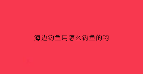 “海边钓鱼用怎么钓鱼的钩(海边钓鱼用怎么钓鱼的钩最好)