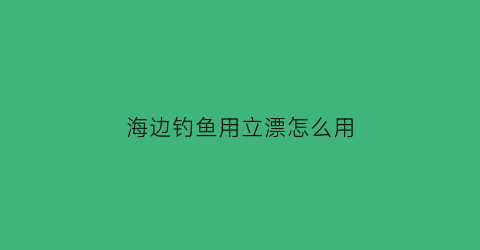 海边钓鱼用立漂怎么用(海边钓鱼用立漂怎么用视频)