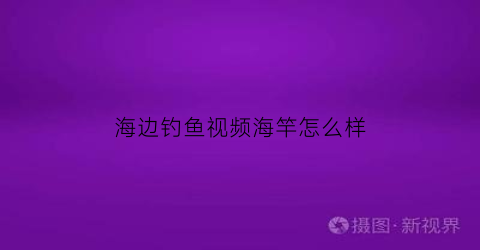 海边钓鱼视频海竿怎么样(海边怎么钓手竿)