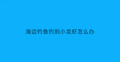 海边钓鱼钓到小龙虾怎么办(钓鱼钓到龙虾还能钓吗)