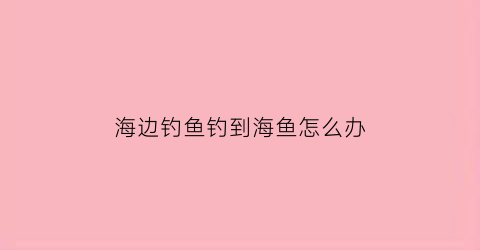 海边钓鱼钓到海鱼怎么办(在大海边钓鱼)