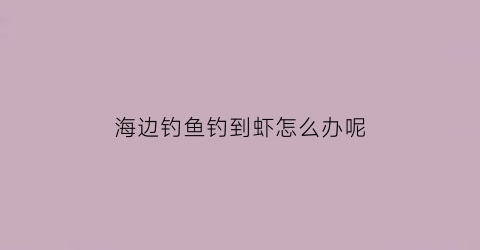 海边钓鱼钓到虾怎么办呢