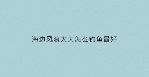 “海边风浪太大怎么钓鱼最好(海钓风浪大怎么钓鱼)