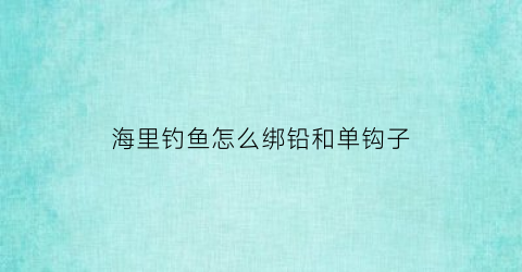 海里钓鱼怎么绑铅和单钩子(海钓如何绑铅坠和鱼钩)