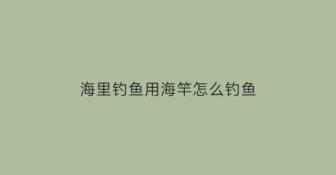 “海里钓鱼用海竿怎么钓鱼(海杆在海里钓用什么饵料)