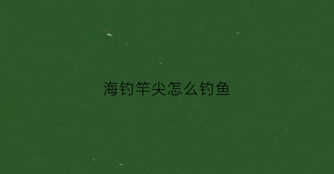 海钓竿尖怎么钓鱼(海杆稍尖掉了怎么办)