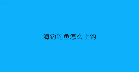 “海钓钓鱼怎么上钩(海钓钓鱼怎么上钩视频教程)