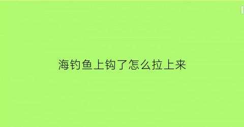 “海钓鱼上钩了怎么拉上来(海钓钩鱼上岸的工具叫什么)