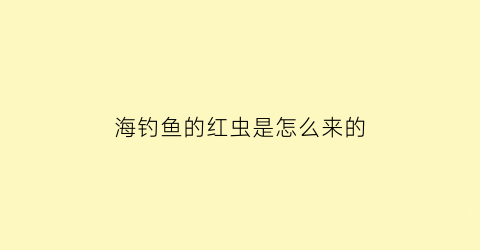 海钓鱼的红虫是怎么来的(海钓红虫多少钱一斤)