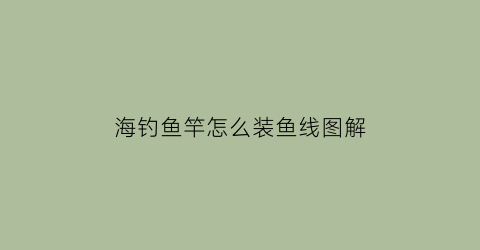 “海钓鱼竿怎么装鱼线图解(海钓竿如何安装鱼线)