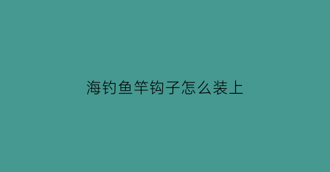 “海钓鱼竿钩子怎么装上(海竿钩鱼怎么安装)