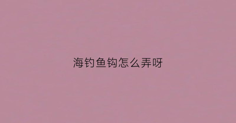 海钓鱼钩怎么弄呀(海钓的鱼钩)