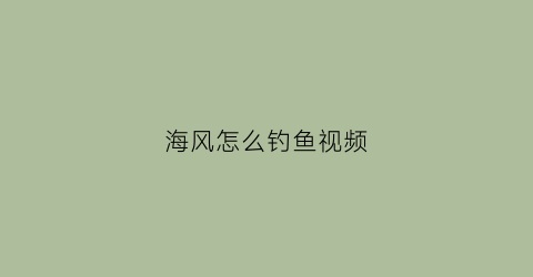 海风怎么钓鱼视频(海钓风大)